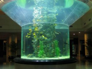pmma glass aquarium సగం సిలిండర్ perspex స్పష్టమైన చేపల తొట్టె